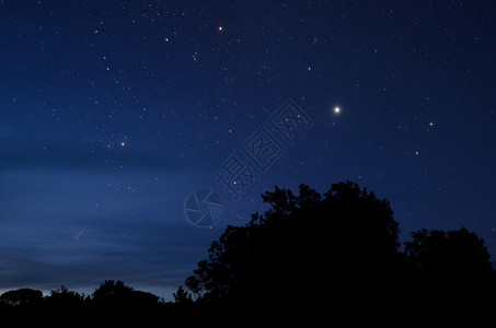 北极星和夜空与树木的天际线图片