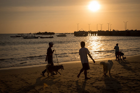 日落时人们在海滩上走狗的轮廓渔船靠图片