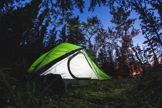 带帐篷和夜间在森林中纵火的旅游营地被图片