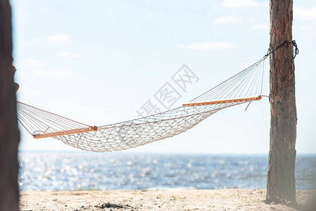 吊床挂在海边沙滩上的两棵树之间背景图片