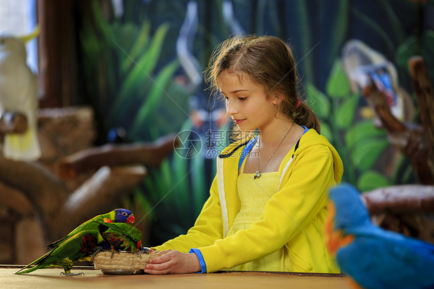 动物园之旅女孩在动物园喂鹦鹉图片