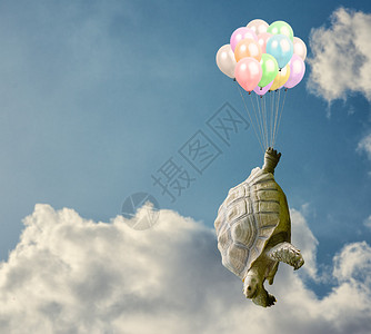 乌龟在天空中与气图片