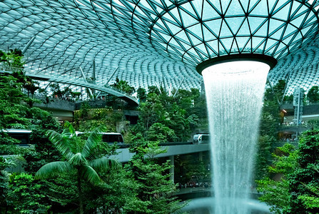 位于星耀樟宜机场商场和轻轨的绿色森林新加坡樟宜机场的标志地标目的地玻图片