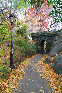 秋天在纽约市中央公园的石桥图片