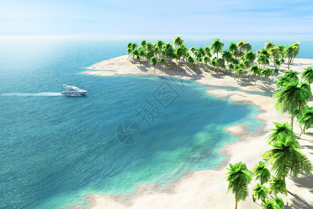 棕榈树的热带海滨景观图片