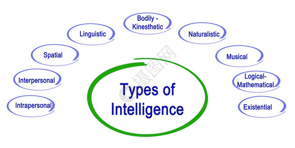 九种智力图片
