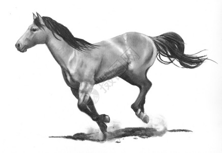 用现实主义风格创造的一匹马跑得图片