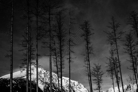 美术黑白山风景图片