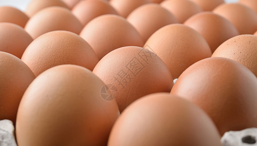 鸡蛋中的鸡蛋图片
