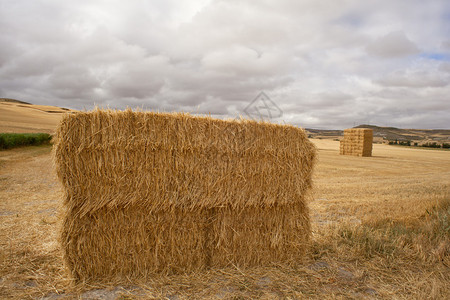 西班牙乡村的干草捆图片