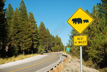 观察美国加利福尼亚州内华达山脉的熊黄警戒街标志图片