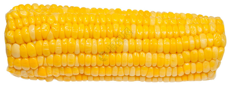 煮熟的玉米棒上白色孤立图片