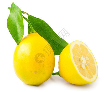清新柠檬用白图片