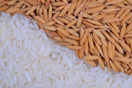稻米和大米的特写图片