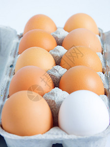 棕色鸡蛋中的一个白鸡蛋图片
