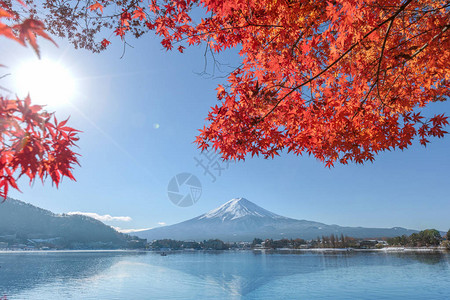 从河口湖看秋色的富士山图片