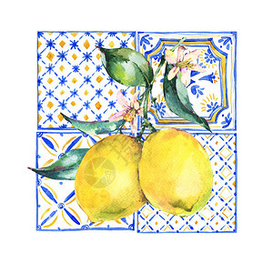 水彩柠檬贺卡古典夏季水果手画黄色和蓝图片