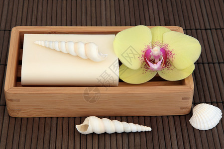 在有兰花和竹底上方的海壳的木盘中图片