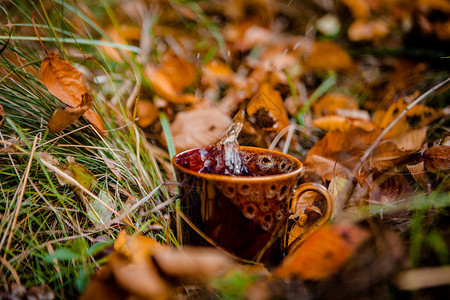 茶杯水站在秋叶上图片