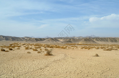 石头和沙质埃及沙漠图片