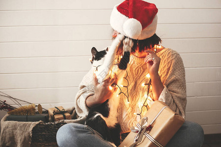 可爱的猫在现代礼物下的节日圣诞灯饰中图片