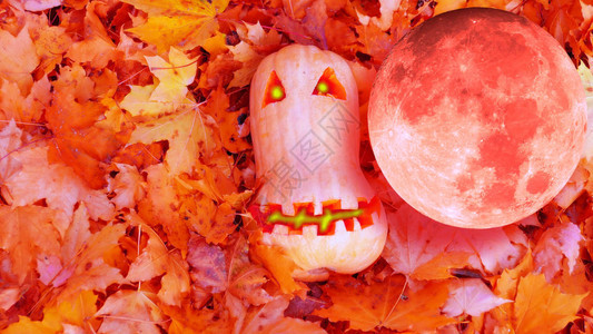 红月与圣南瓜在莫斯科的红月拼凑在秋天图片
