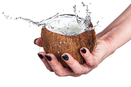 热带椰子与冰和溅水在白色背景上图片