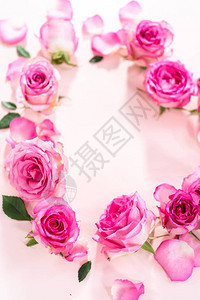 粉红玫瑰和玫瑰花瓣在粉红色背景上造图片