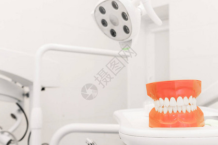 牙科办公室背景上的可塑牙齿模型照片图片