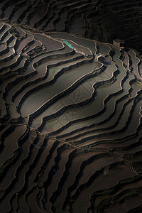 日出时抽象阴影和水稻梯田层对圆阳大米图片