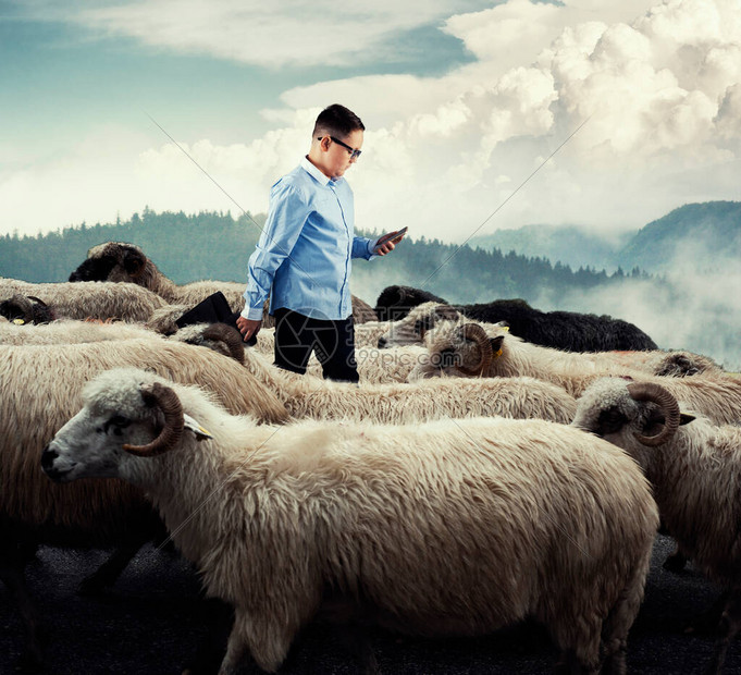站在羊群中间的商人朝相反的方向走开箱即用的概念在人图片