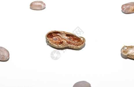 在白色背景上分离的花生壳坚果壳和去皮花生的顶部视图图片