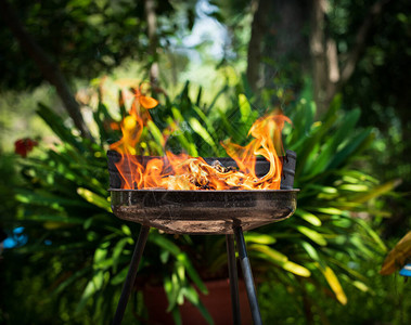准备烤肉近距离观察火焰图片