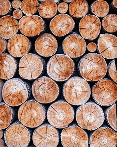 圆形锯木的天然木背景剪切树木复制图片