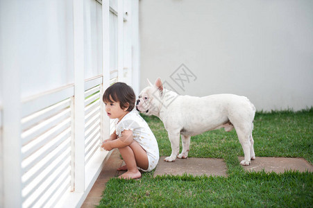 孩子和狗友法国斗牛犬看图片