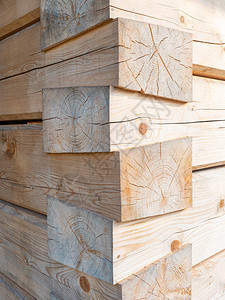 利用白色天然原木制成的受欢迎的木质板图片