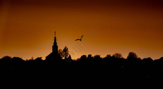 美丽的风景苍鹭和教堂背景图片