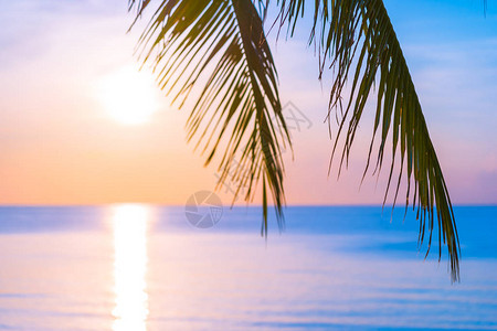 海洋滩的美丽户外热带景观与椰子棕榈树在日出或日落时间休图片