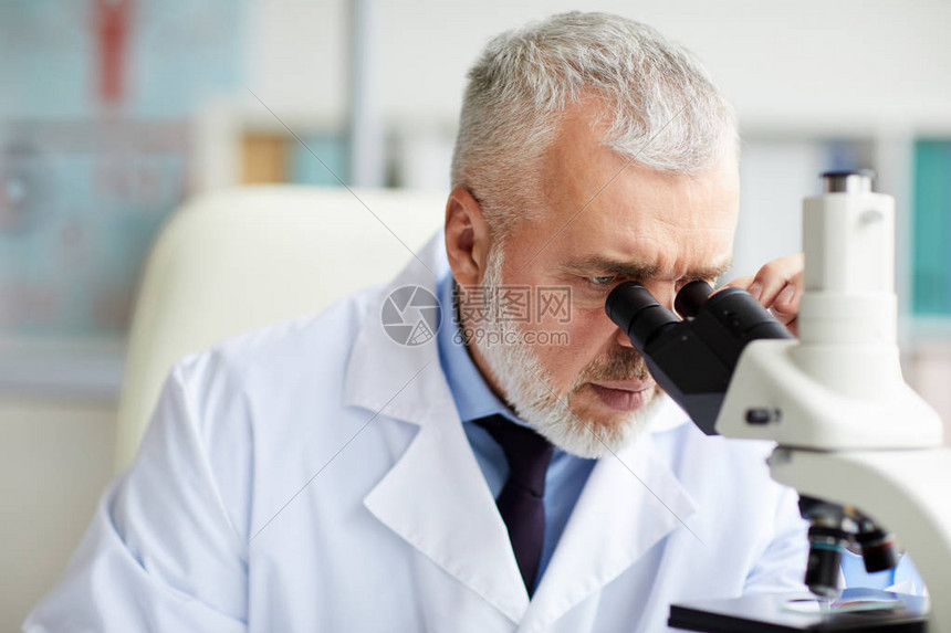 在办公室进行科学研究时通过显微镜观察头发灰白的高图片