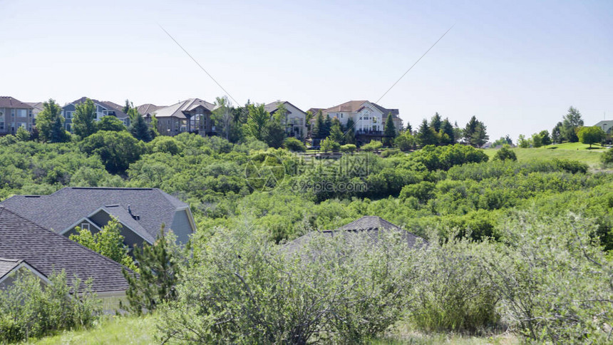 郊区居民住区的夏季景色请查看图片