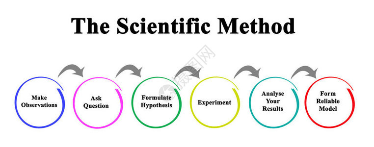 科学方法从观察到模型图片