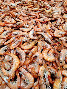 鱼市里的熟虾图片