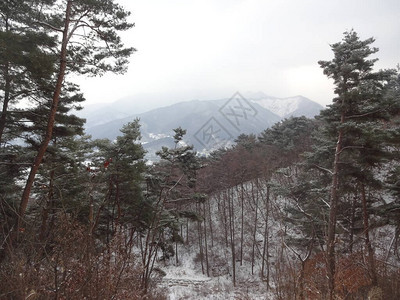 2018平昌冬奥会令人惊叹的体育和文化盛会照片无滤镜韩国文化比赛和背景图片