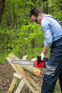 在锯木厂的森林里用电锯链在木架上锯小树干高清图片