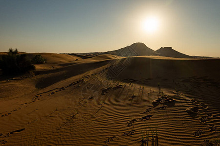 阳光明媚的日子里迪拜沙漠的风景图片