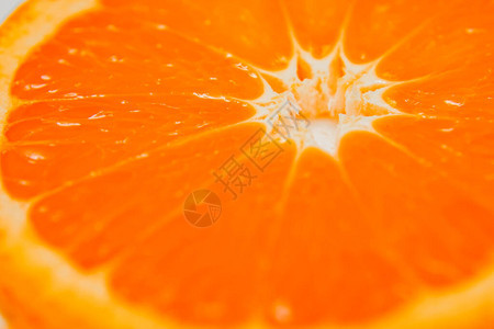 橙色微距摄影的图像图片