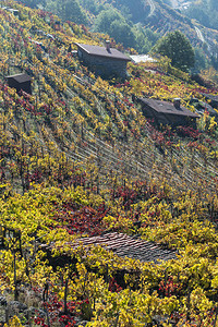 RibeiraSacra是一个区域图片