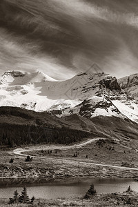 哥伦比亚冰原加拿大班夫贾斯珀公园图片素材