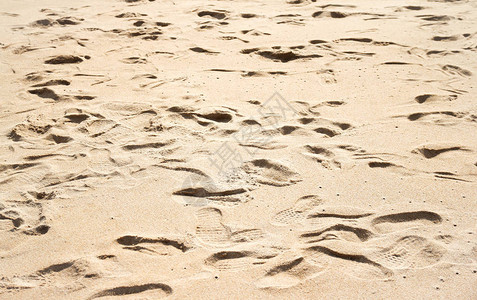 海滩的沙地包含许多脚印图片