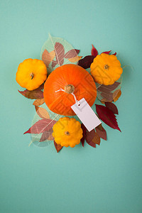 蓝色背景上的秋季装饰品假期秋天万圣节感恩节的概念平躺图片